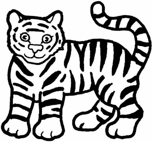 clipart tiger drawn