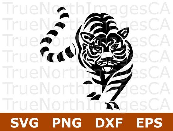 Clipart tiger file. Pin on cricket 