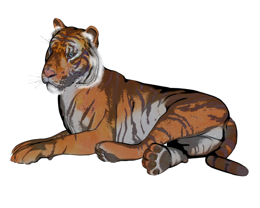 Clipart tiger group. Pose of a gazillion