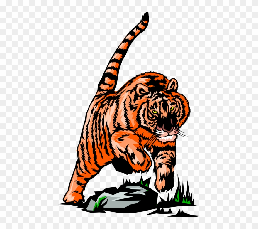 clipart tiger group