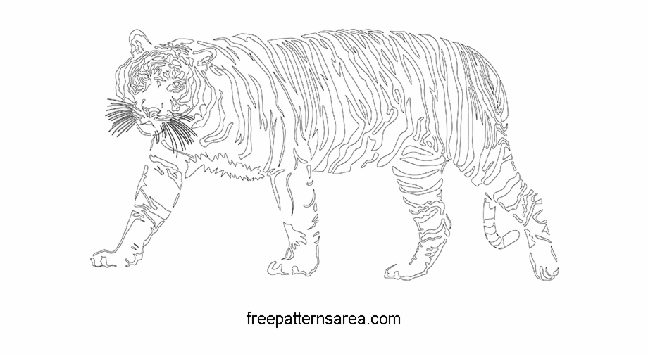 clipart tiger pdf