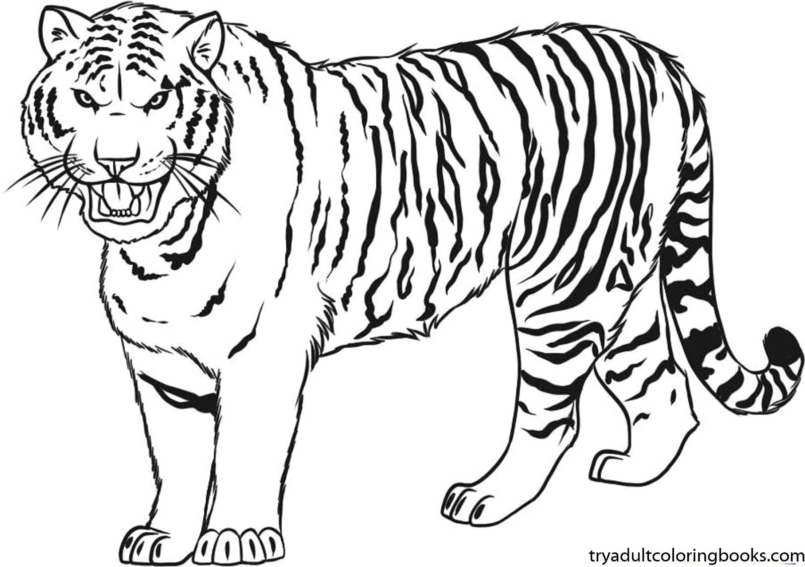 clipart tiger printable