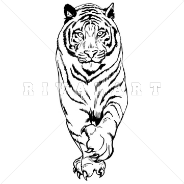 clipart tiger realistic