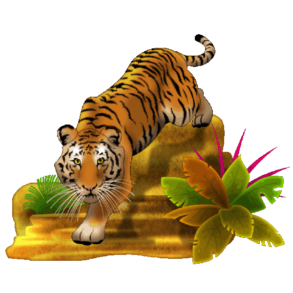 clipart tiger realistic