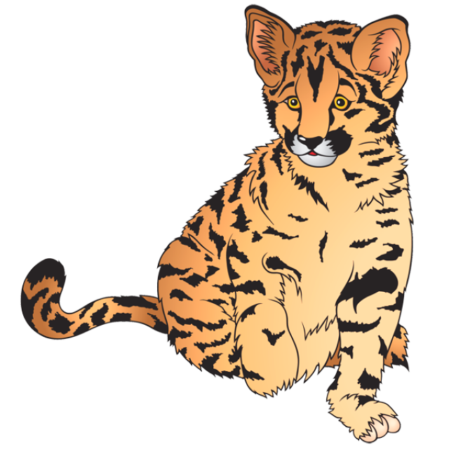 clipart tiger tiger cub