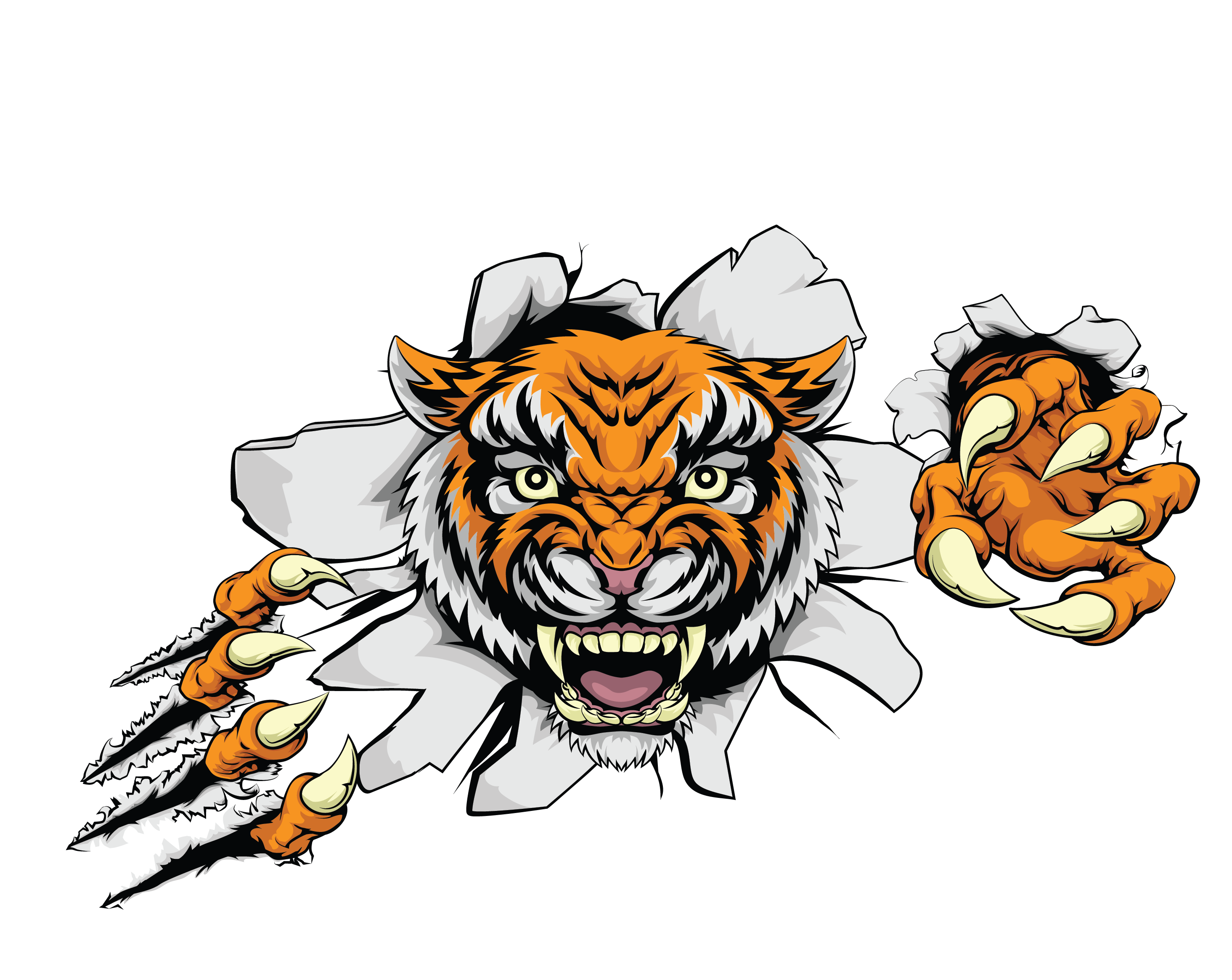 Euclidean vector clip art. Clipart tiger tiger head