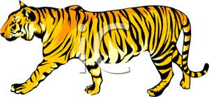 clipart tiger walking