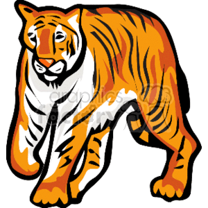 Large on all fours. Clipart tiger walking