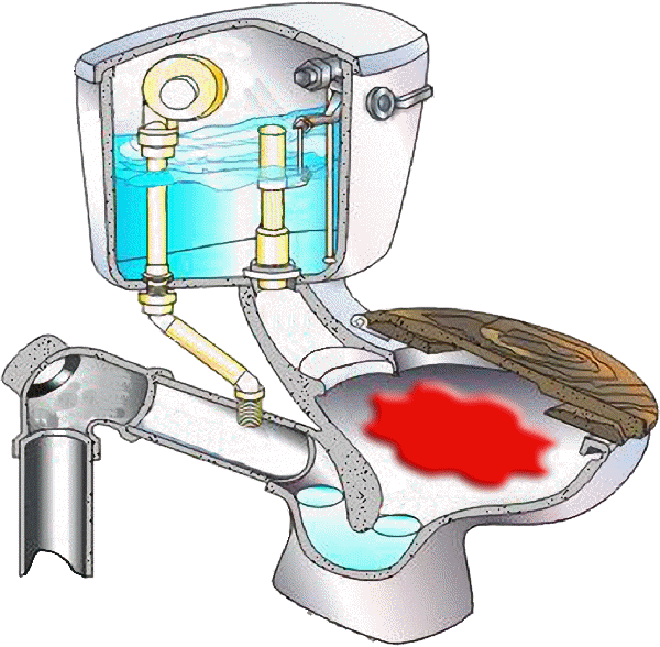 Germs clipart toilet bowl. Friend south africa 