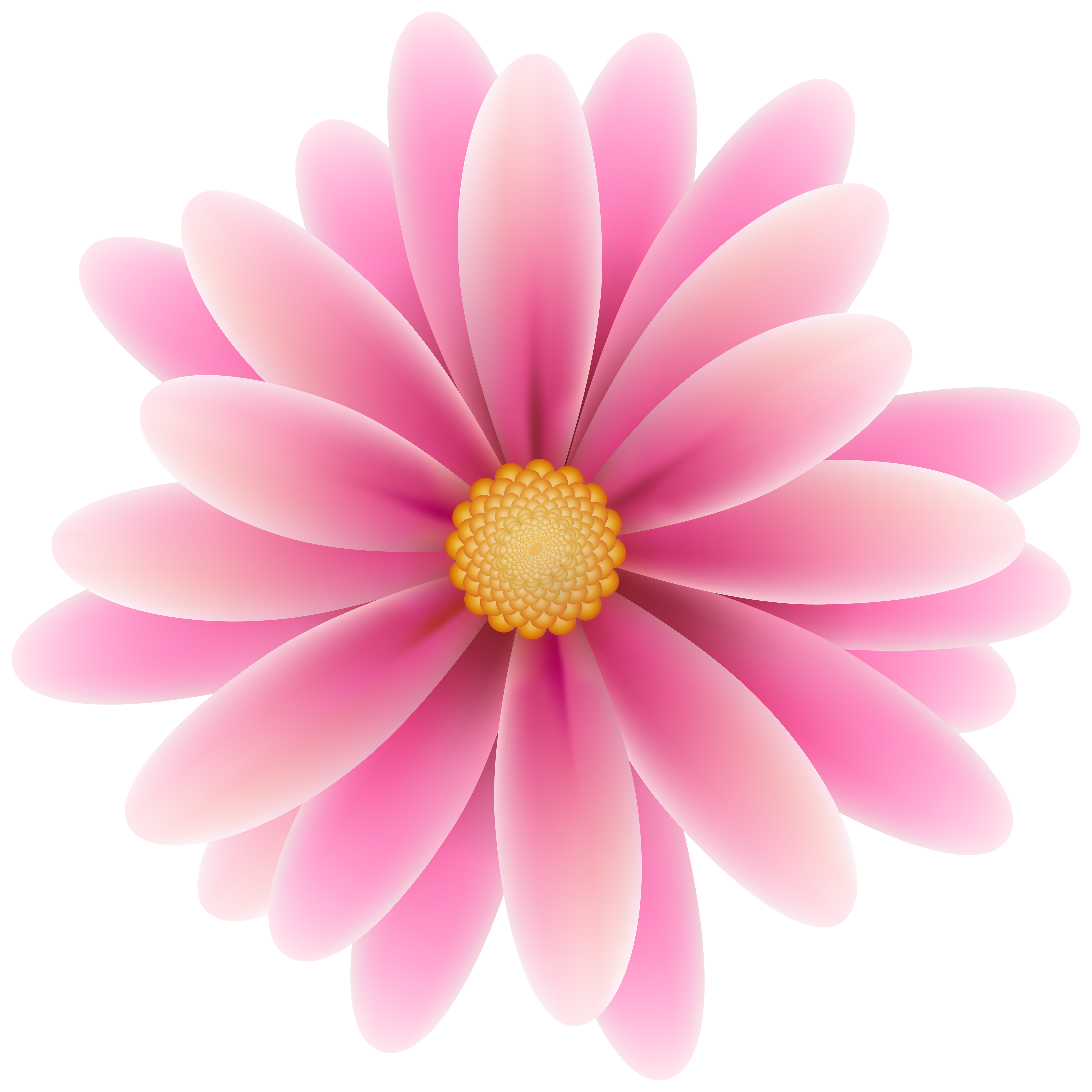 hydrangea clipart pink dandelion