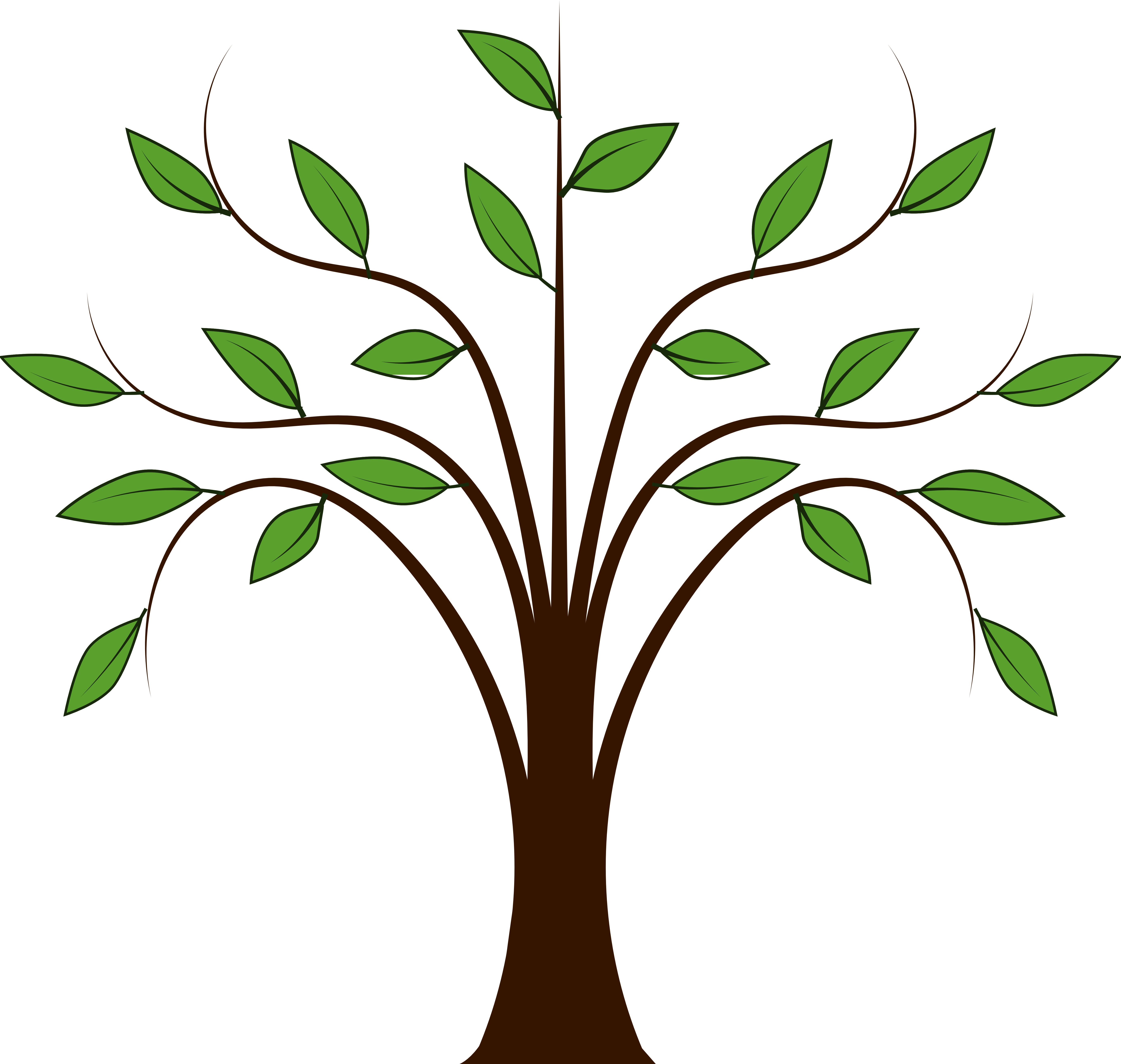 Vines family tree