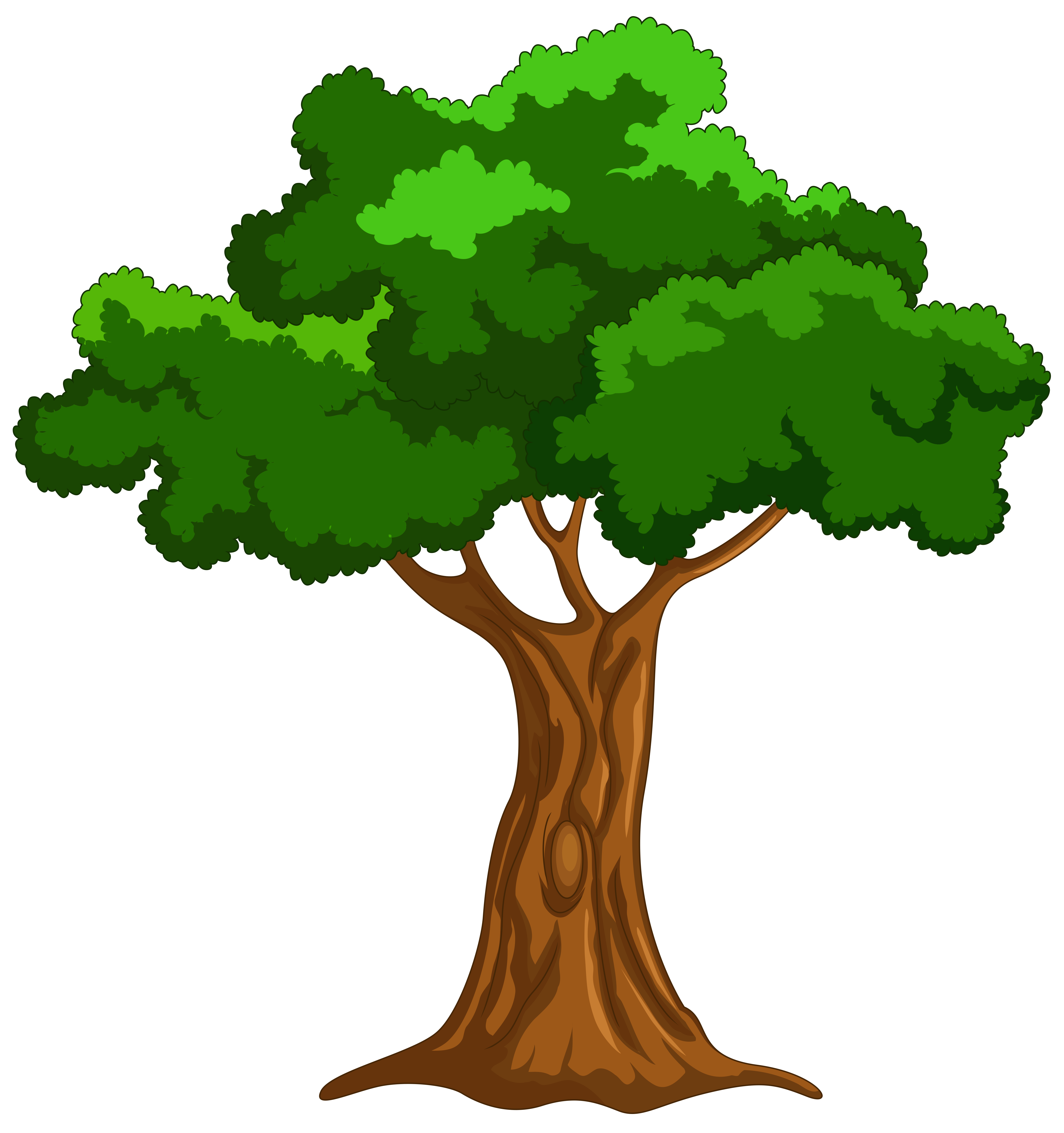 Clipart tree. Cartoon png clip art