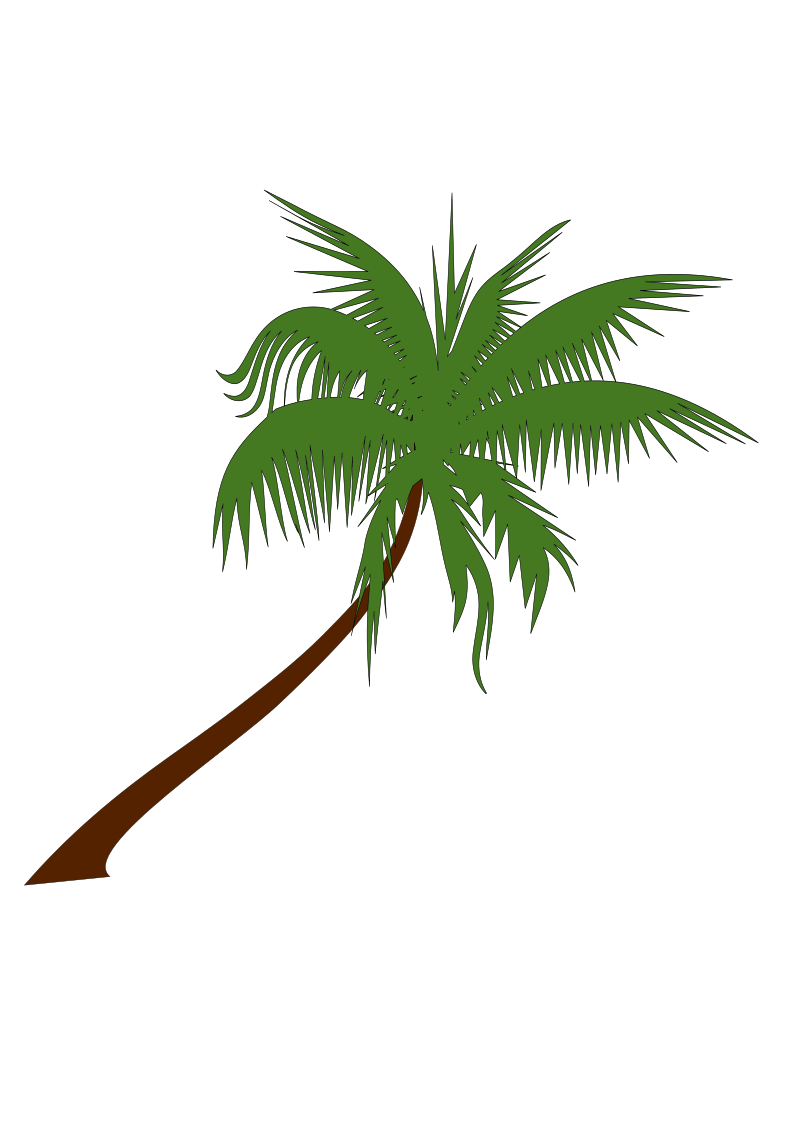 palm clipart wallpaper