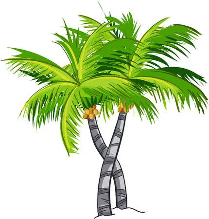 tree clipart buko