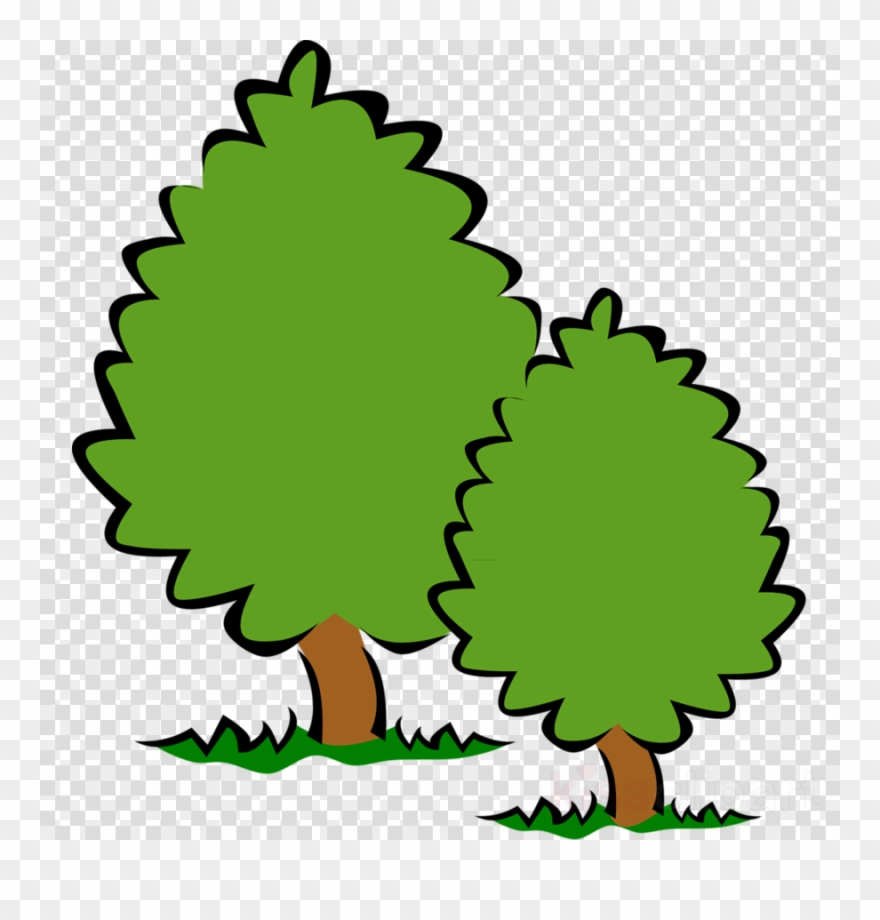 clipart tree clear background