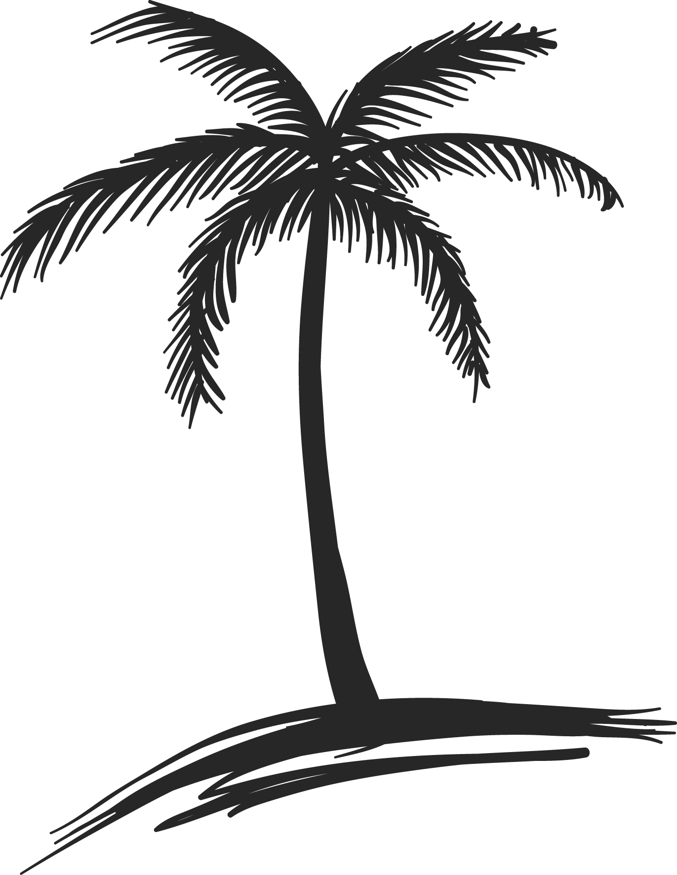 Coconut clipart drawn.  collection of tree