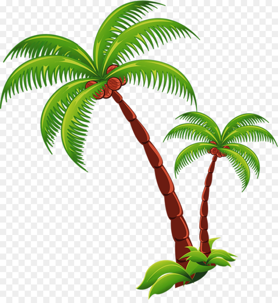 clipart trees coconut