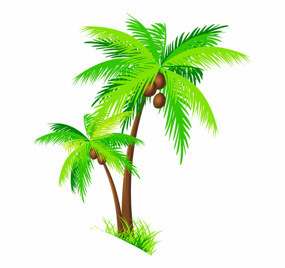 Clipart trees coconut. Tree clip art png