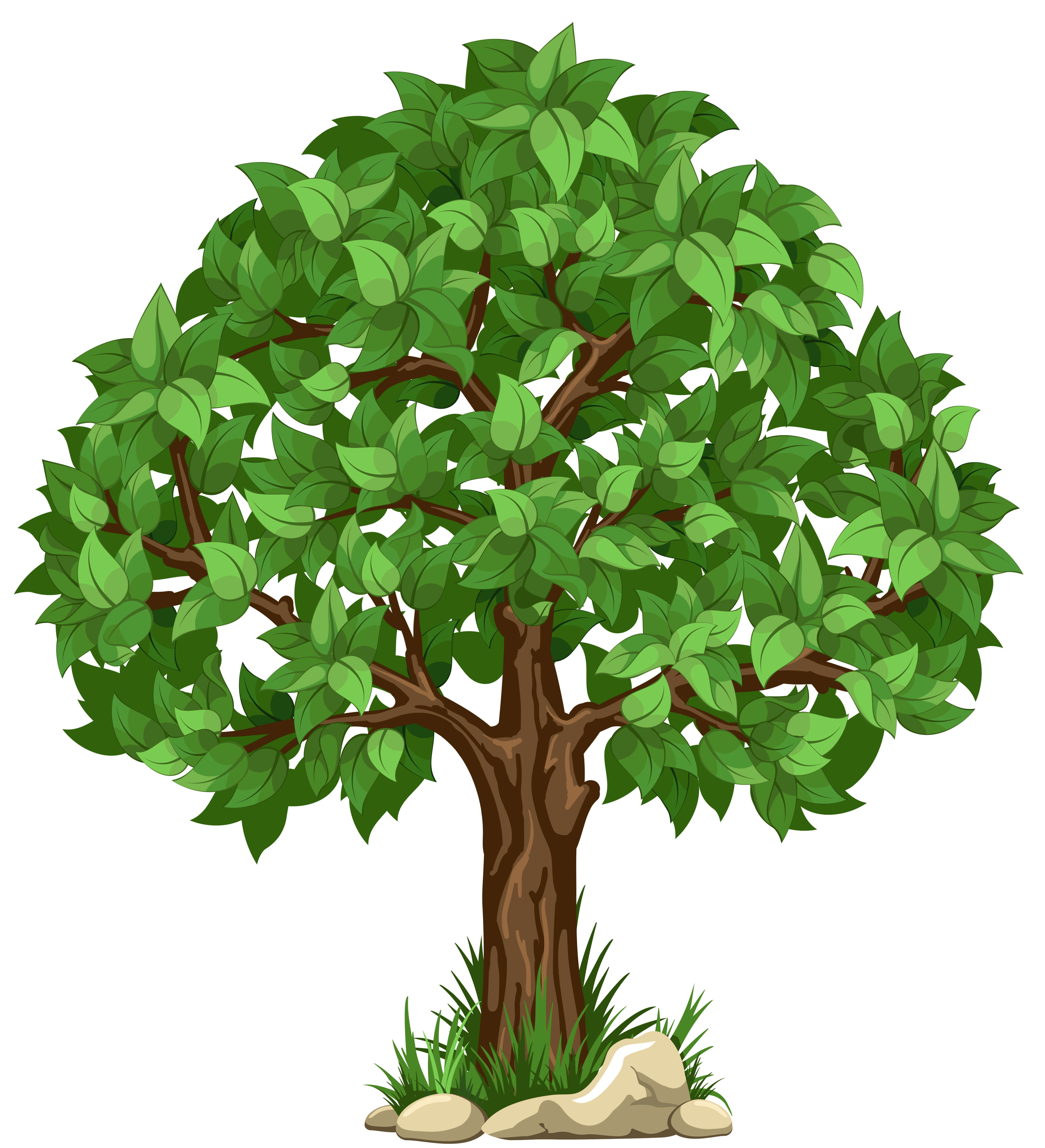  collection of transparent. Clipart tree colour