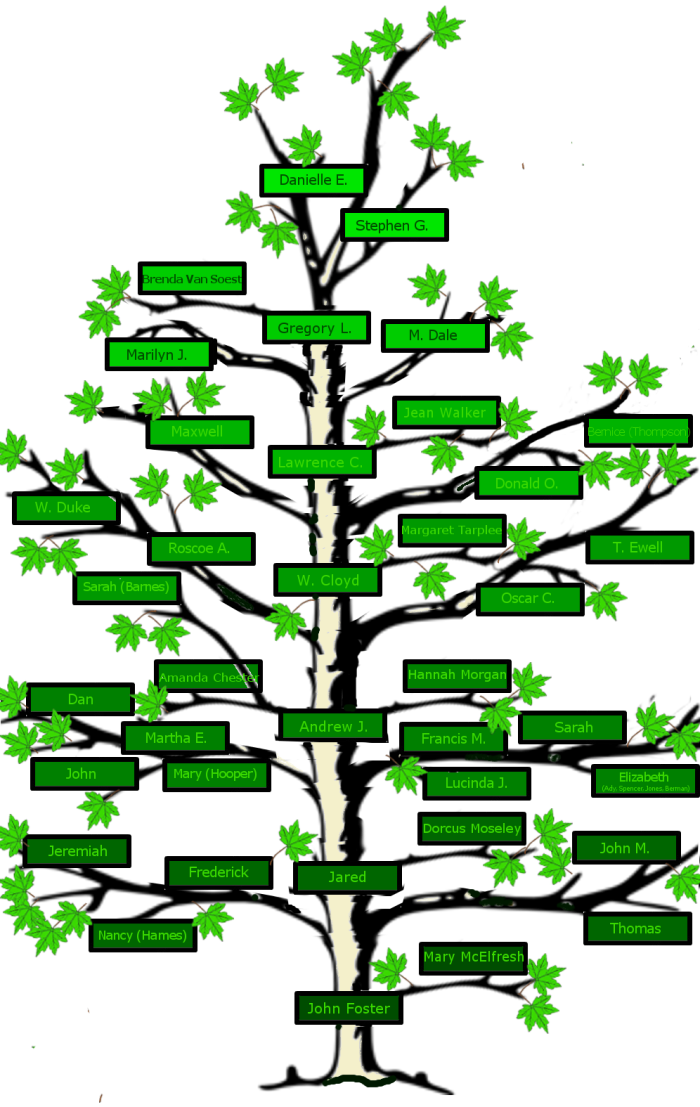 These fosters a graphic. Clipart tree family tree