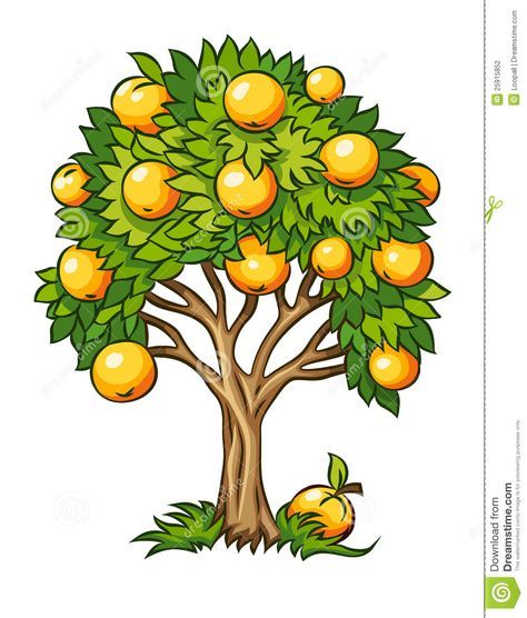 clipart tree fruit