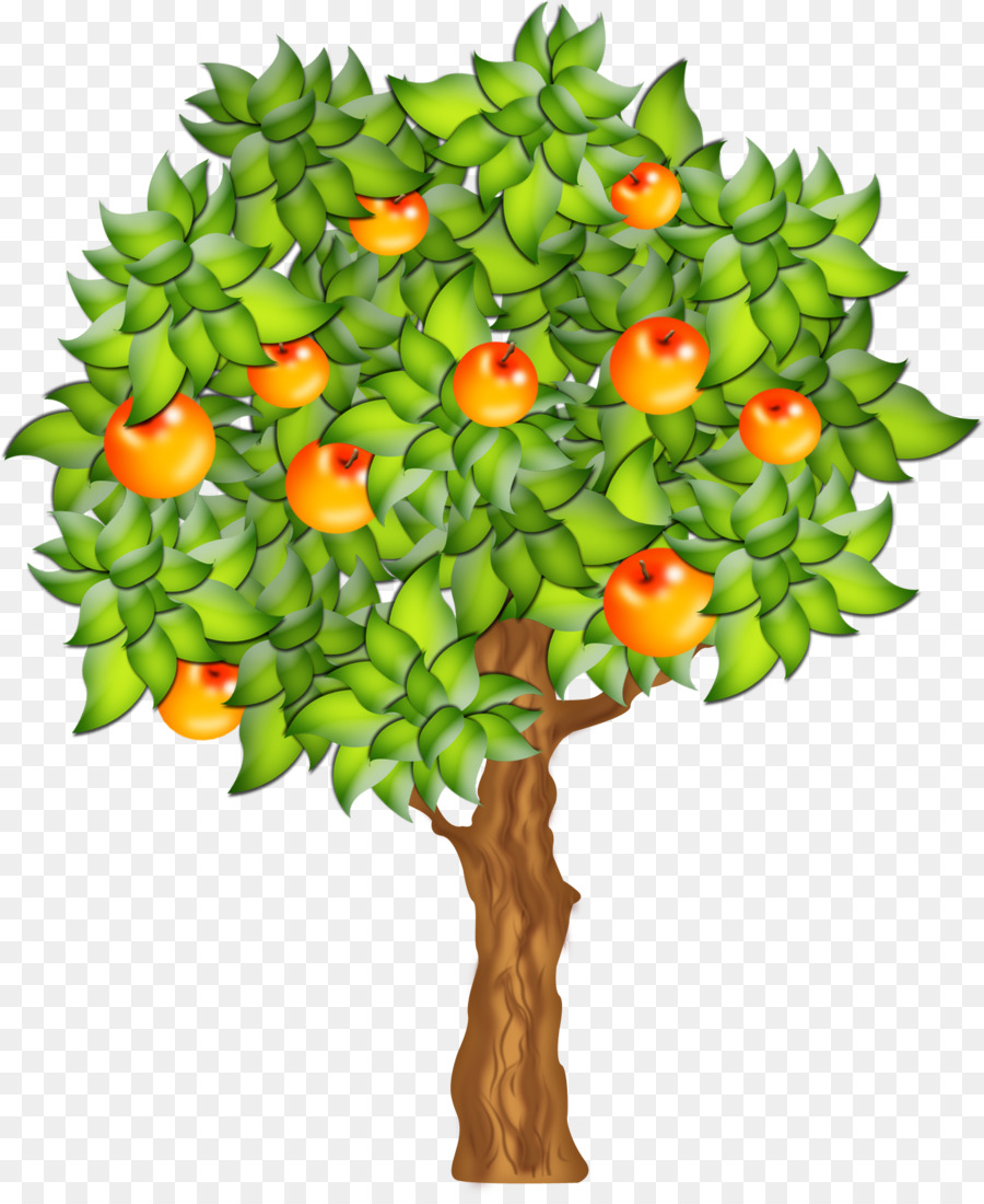 clipart tree fruit