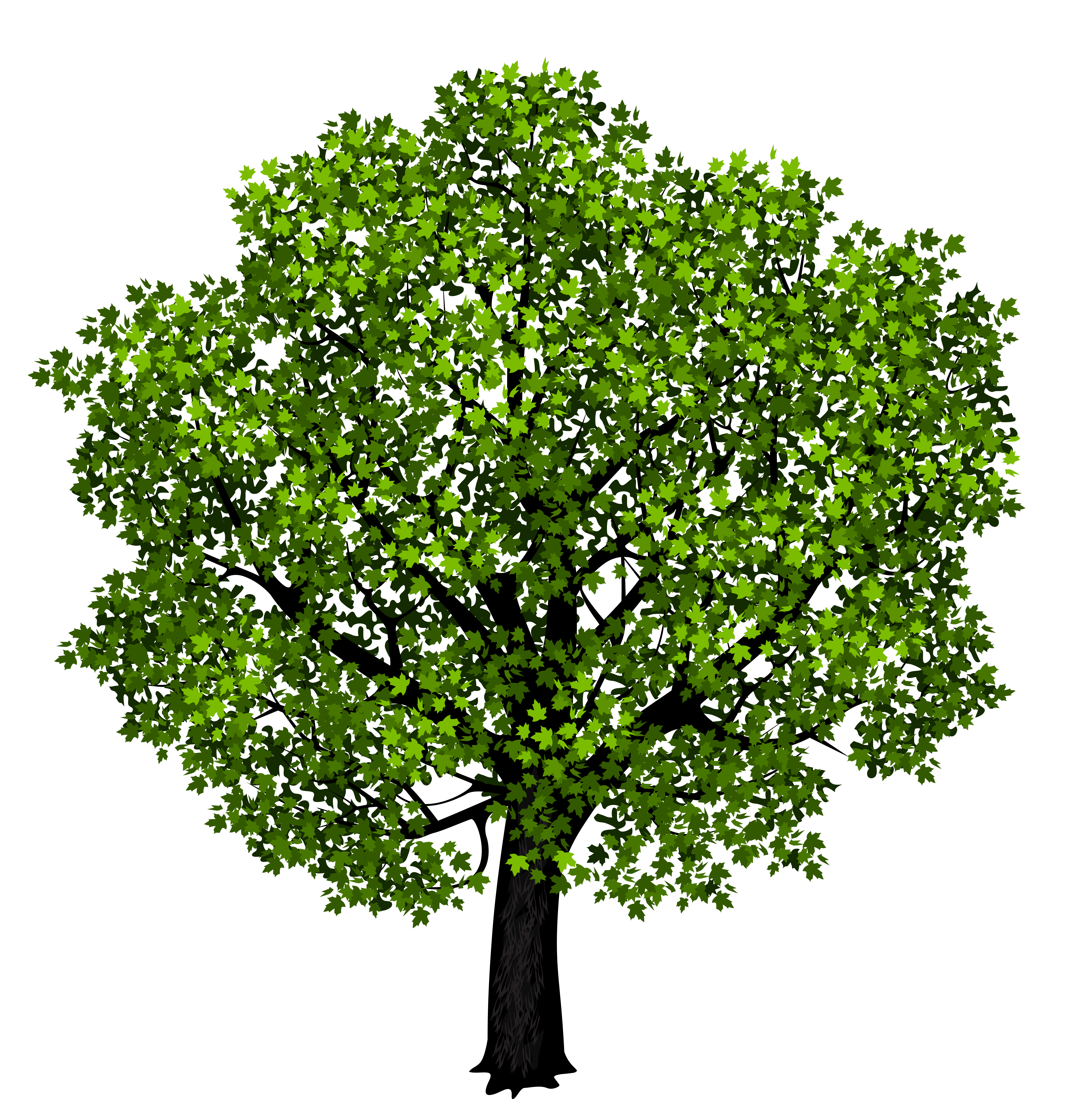 clipart tree green