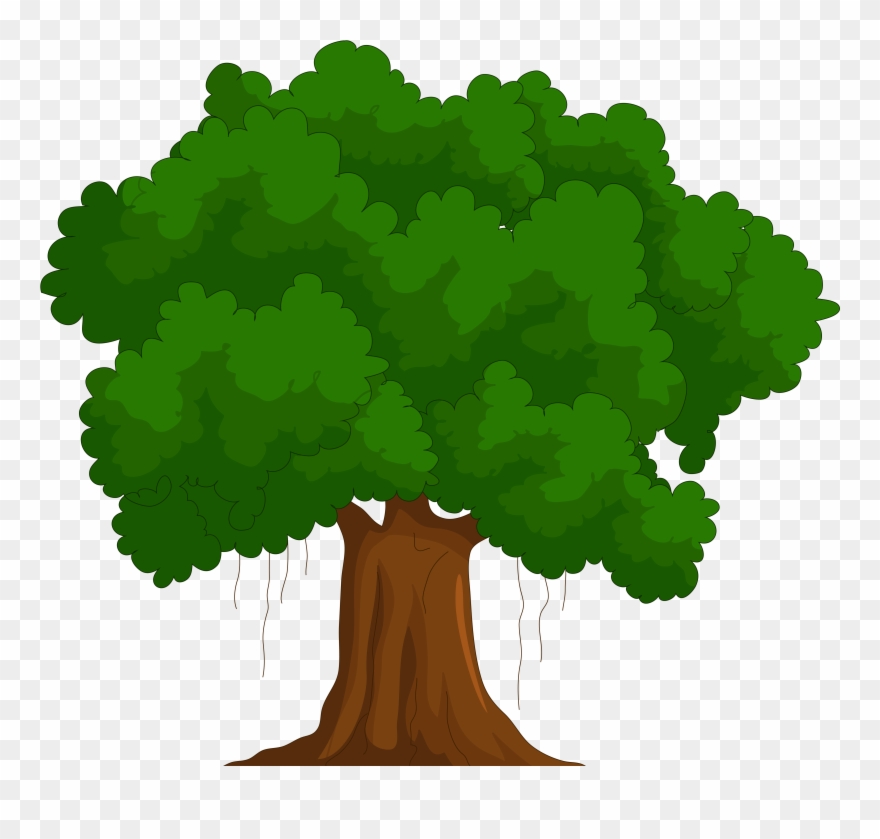 Of trees and called. Clipart tree green