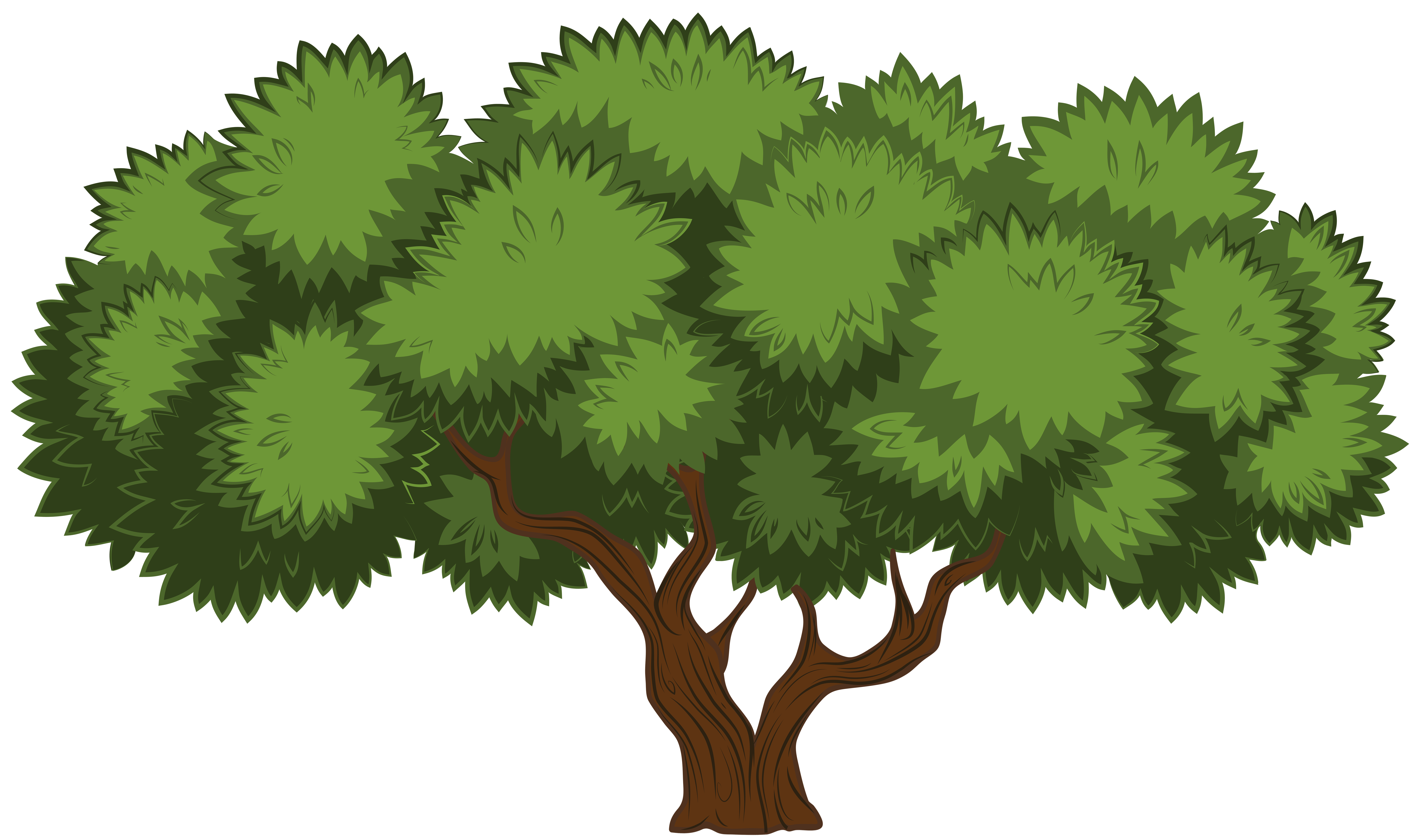 clipart tree high resolution