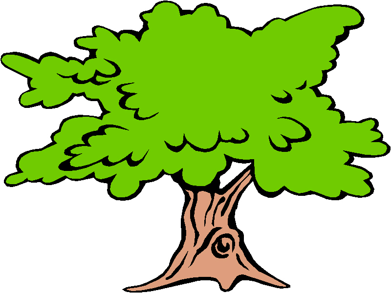 clipart trees narra