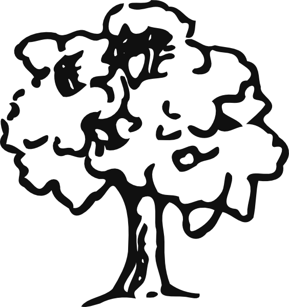 clipart tree outline