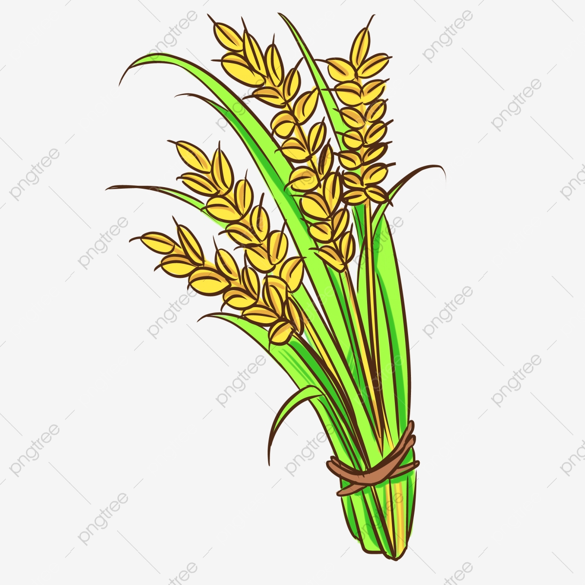 Autumn mature crop rice. Crops clipart paddy