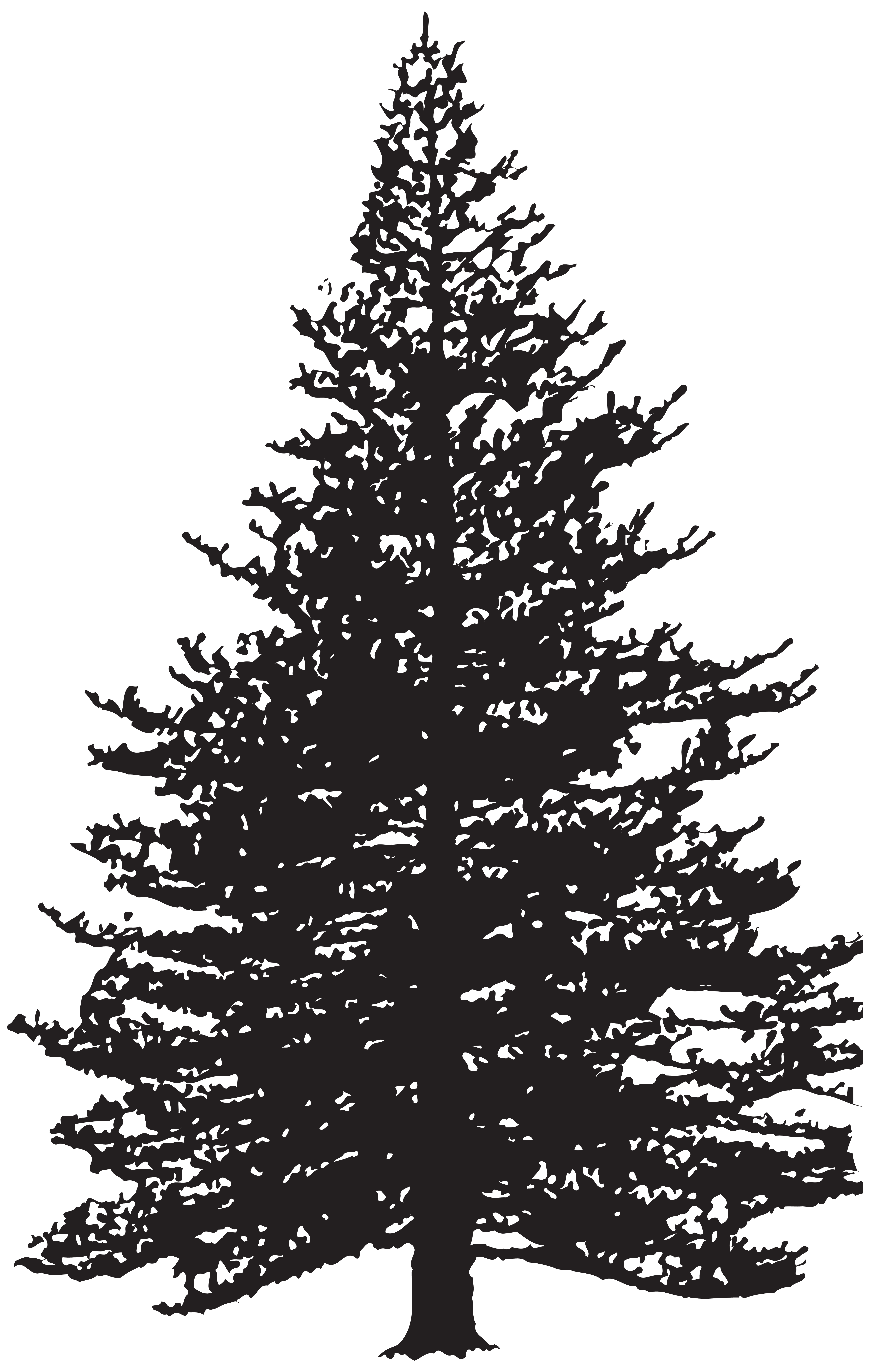 clipart tree pine