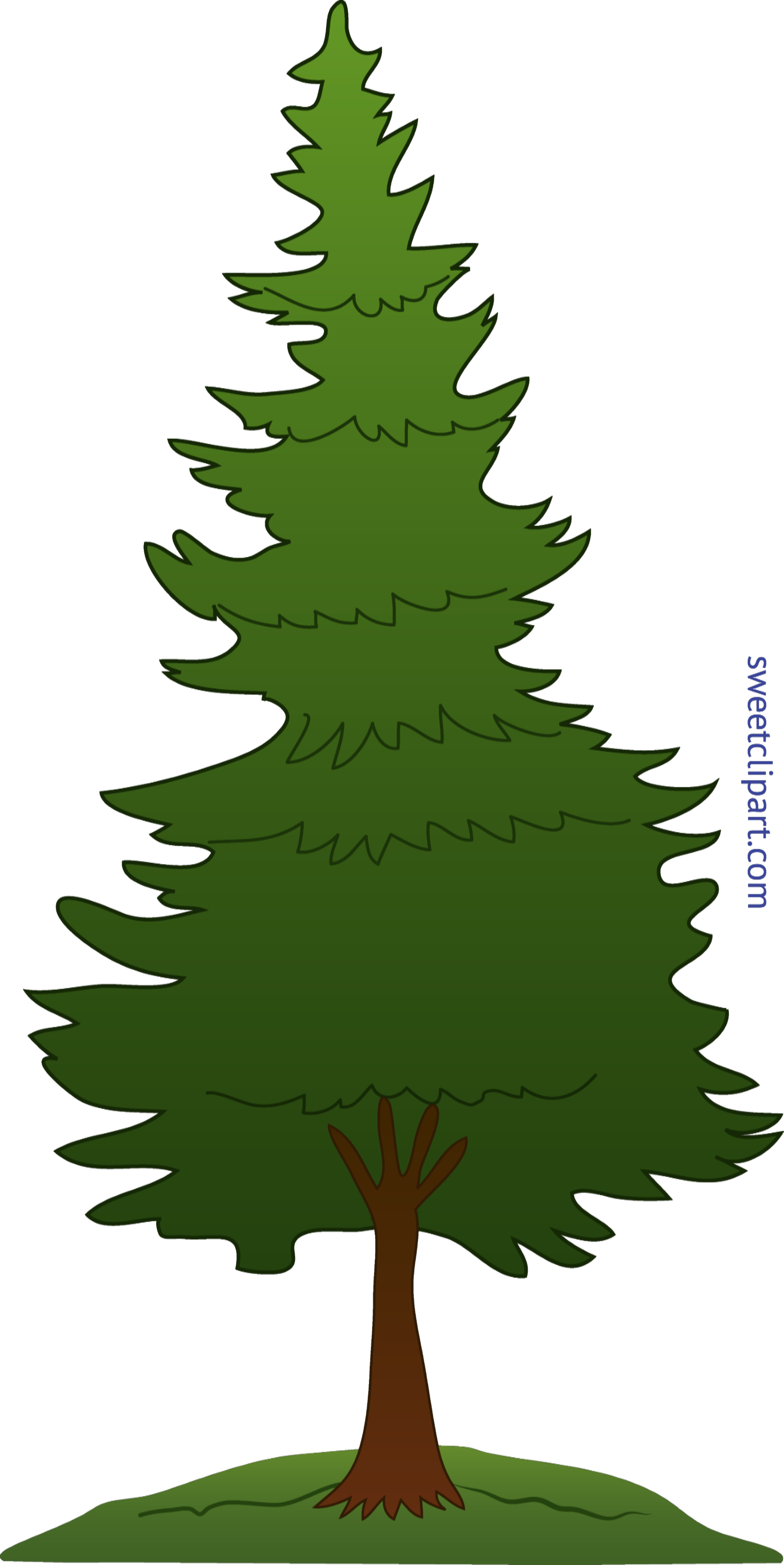 clipart tree pine