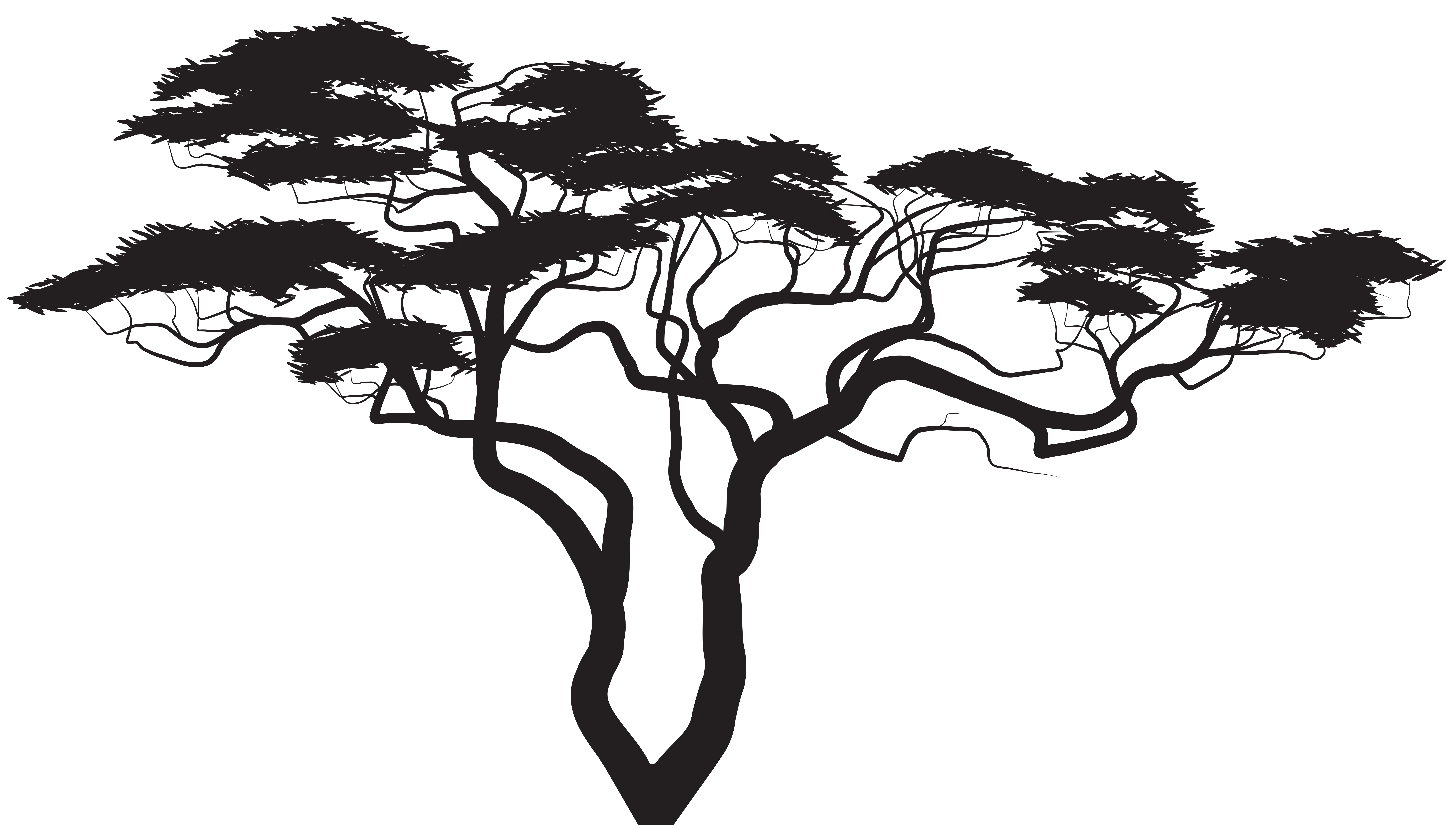 Exotic tree png clip. Grilling clipart silhouette