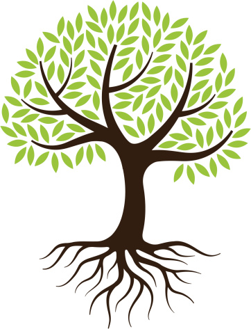clipart tree root