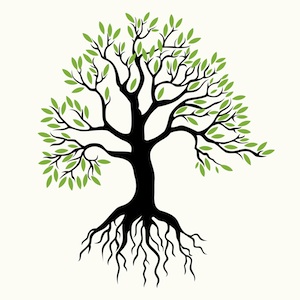 roots clipart treewith