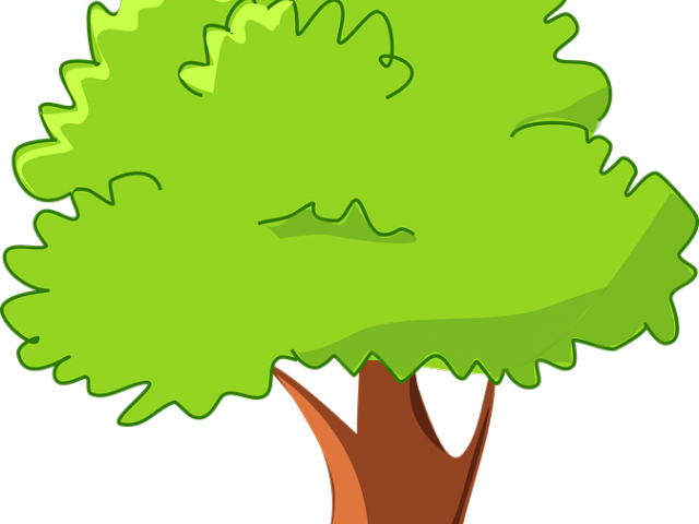 clipart tree santol