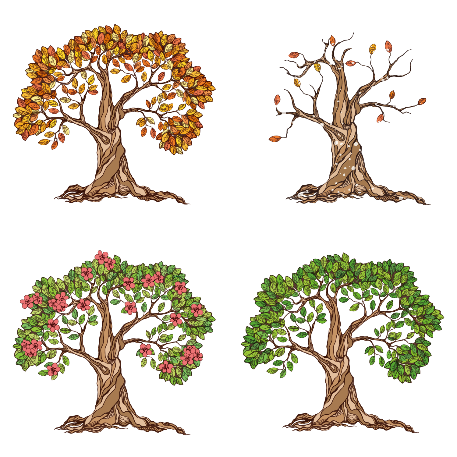 roots clipart illustrated tree