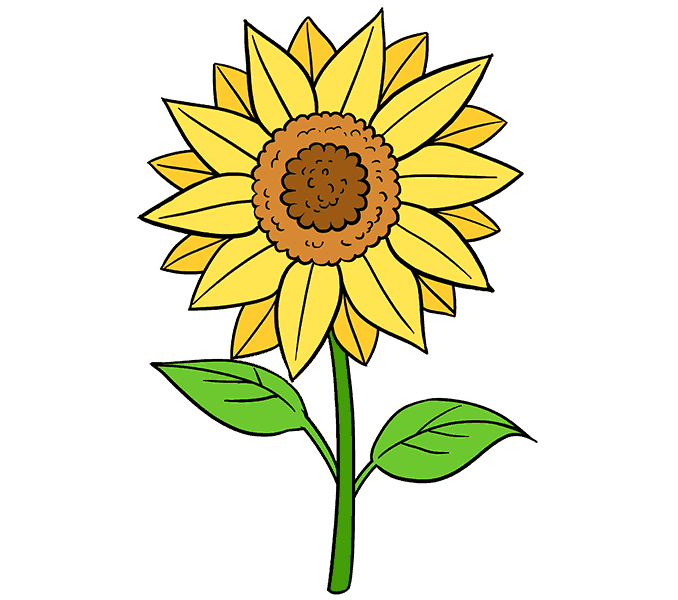 sunny clipart sunflower