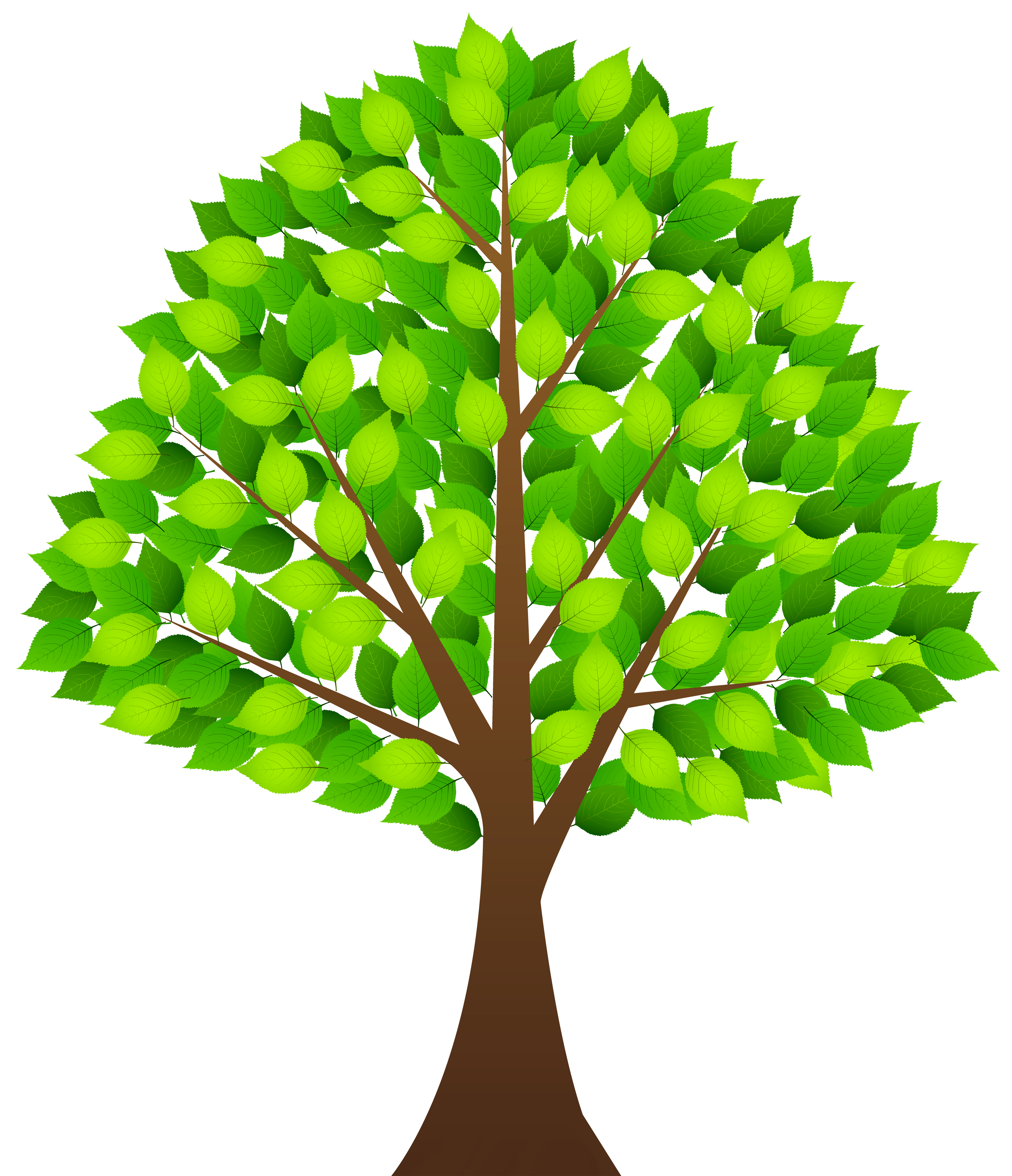 tree clipart clear background