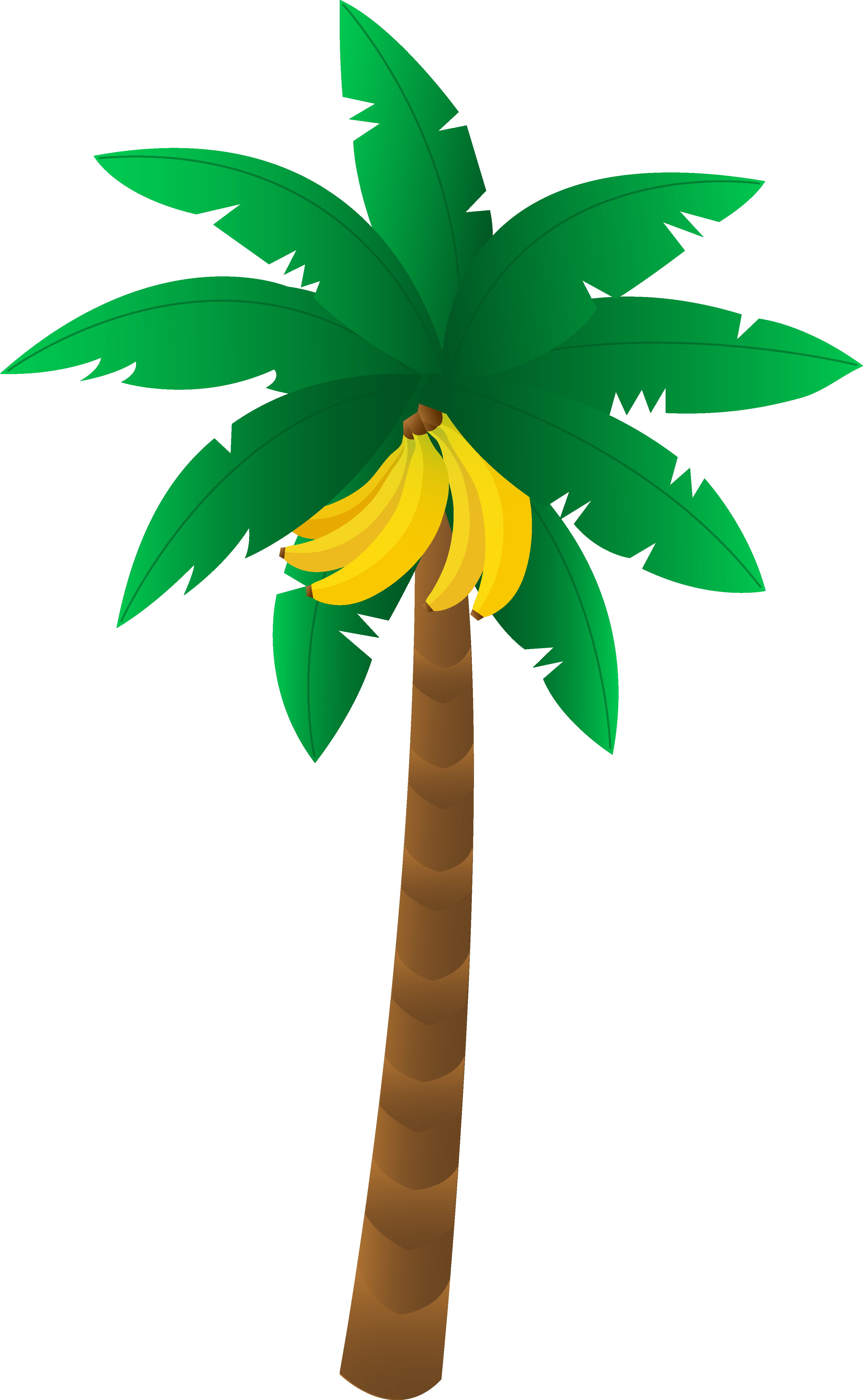clipart trees banana