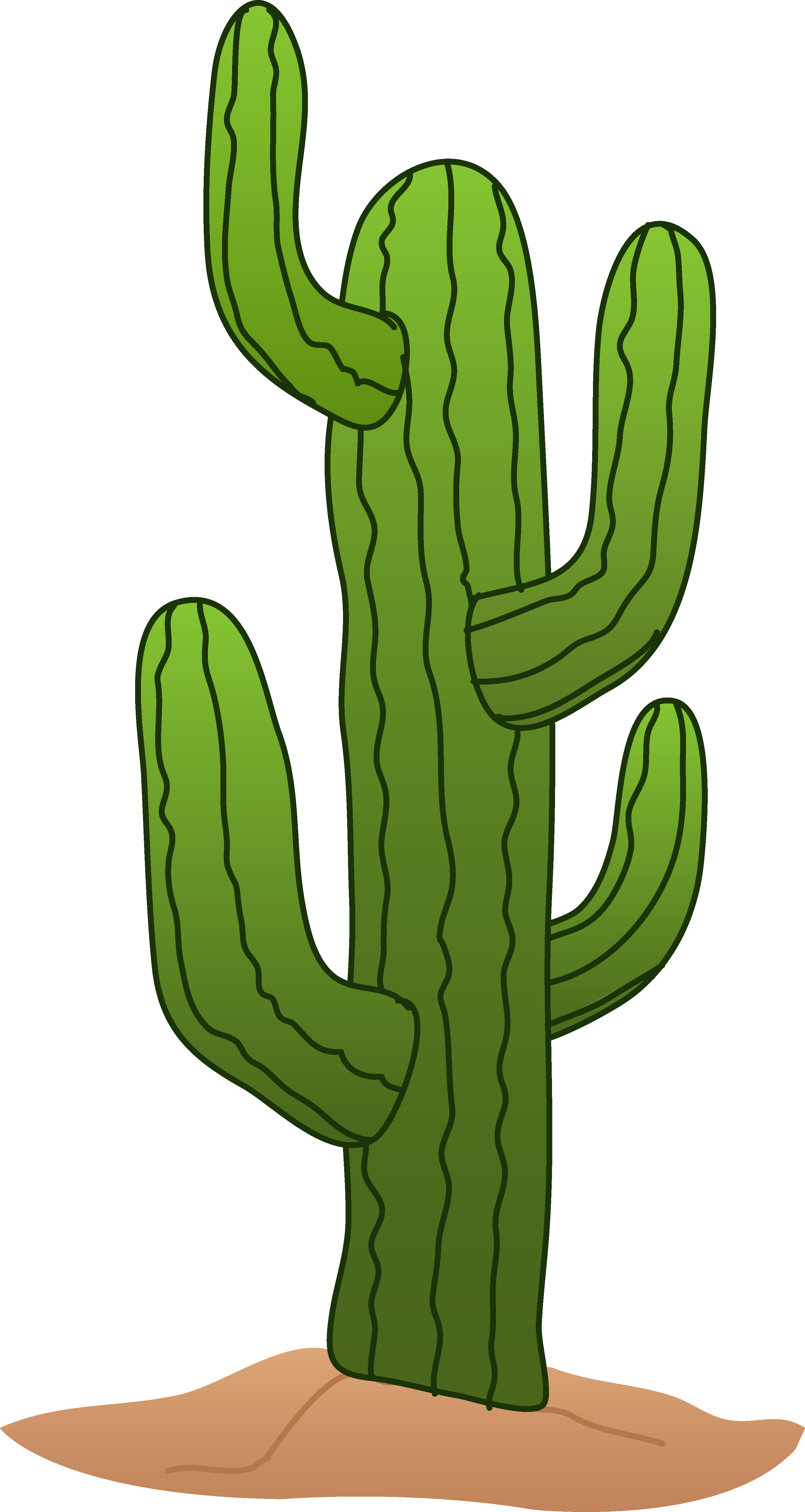 Cactus png pictures pinterest. Desert clipart prickly pear