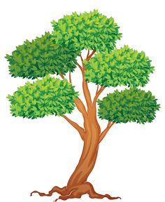  best tree images. Clipart trees colour