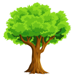 Clipart trees colour. Tree black and white