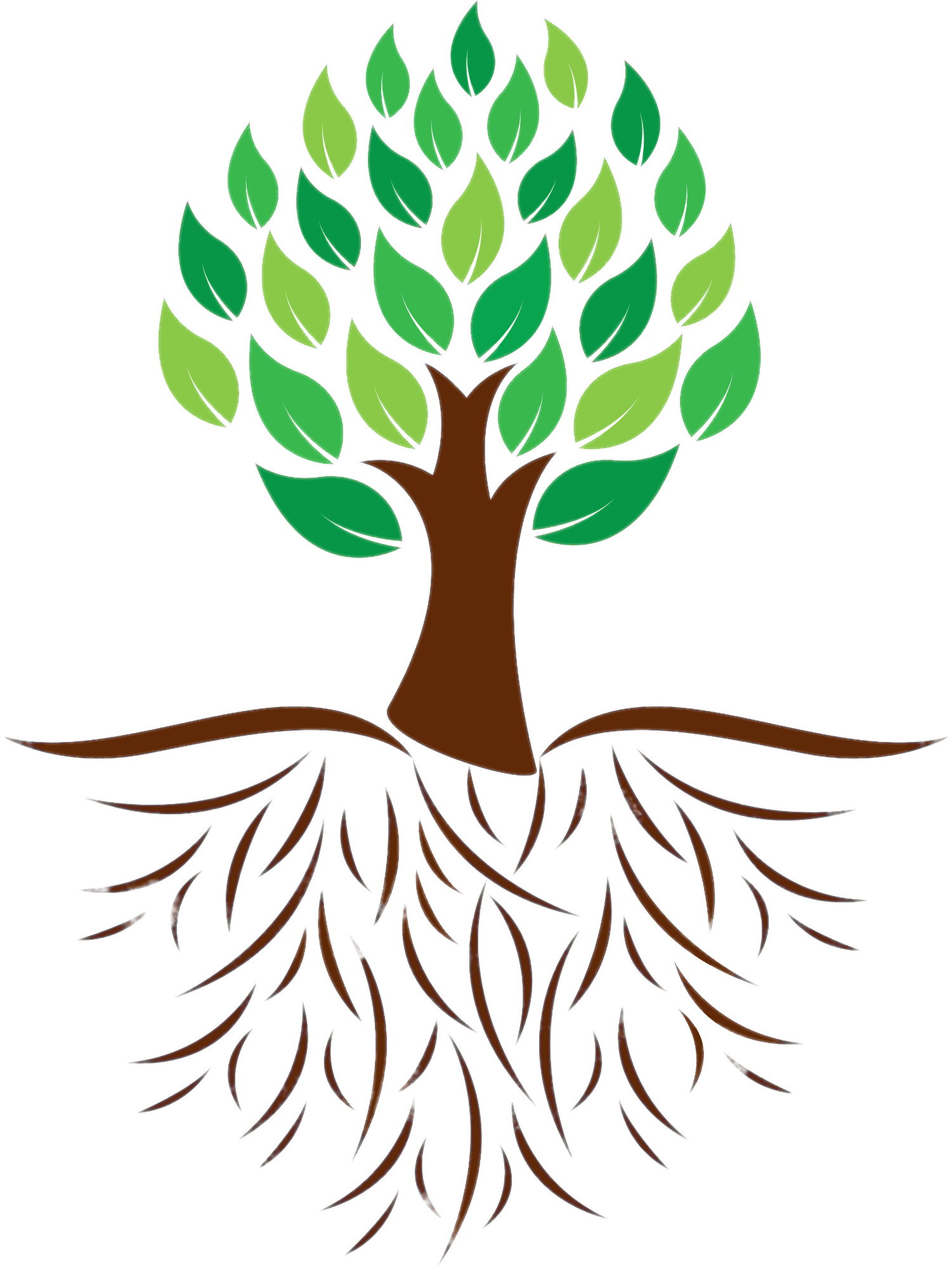 Clipart trees colour. Tree and roots illustration