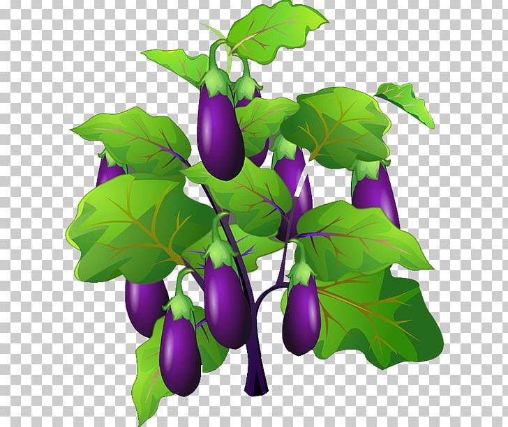 eggplant clipart tree