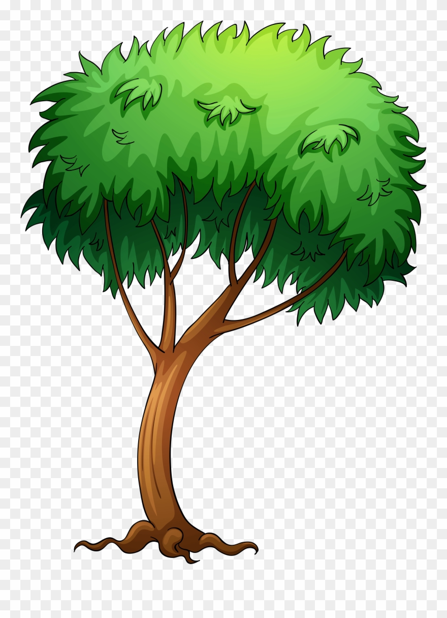 Clipart trees green. Pictures of image tree
