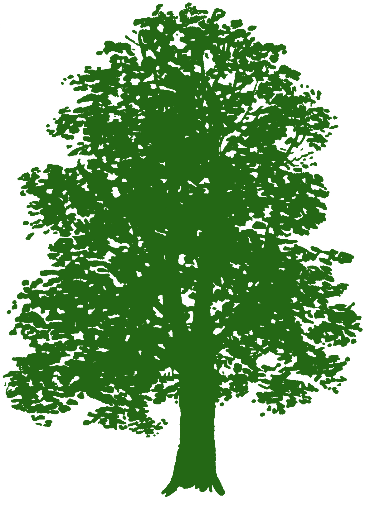 Clipart trees green.  tree images free