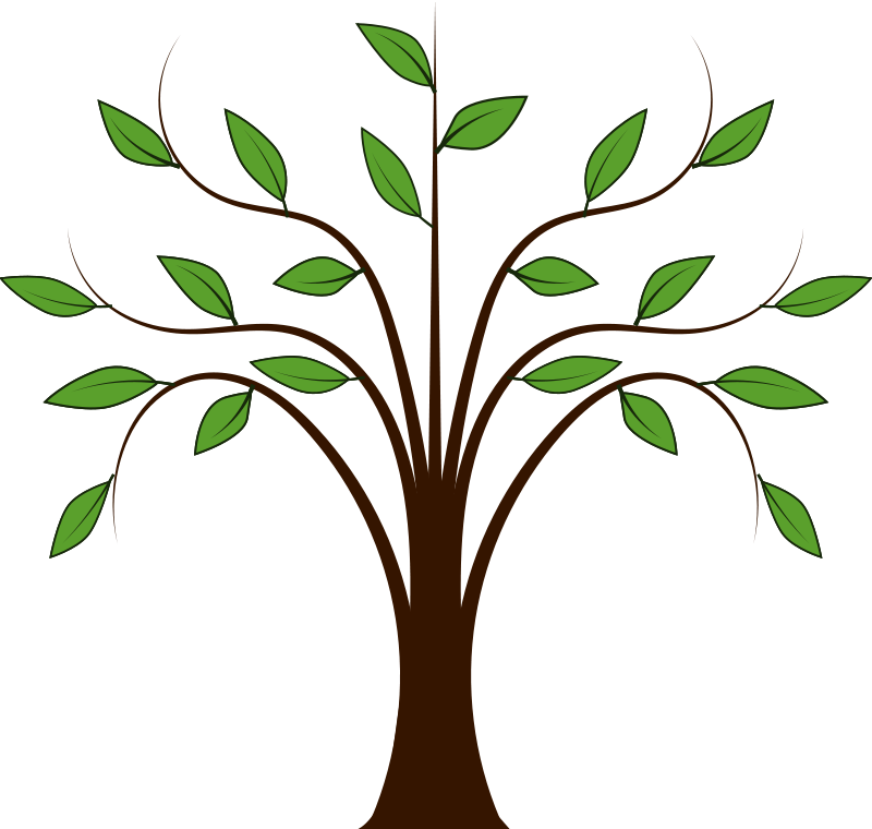 clipart trees molave